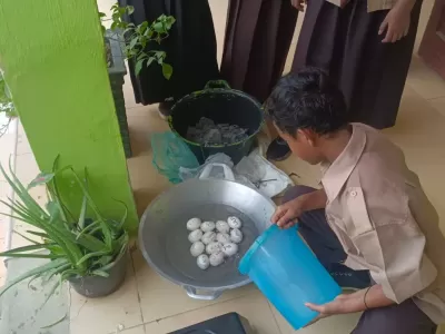 WhatsApp Image 2024-09-04 at 10