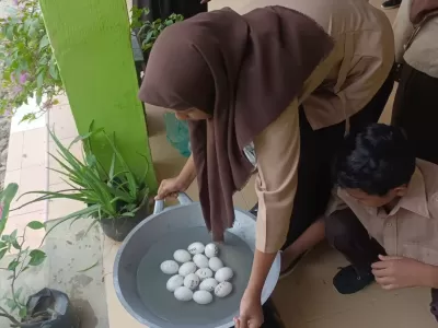 WhatsApp Image 2024-09-04 at 10