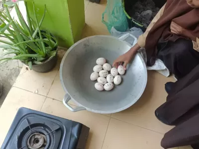 WhatsApp Image 2024-09-04 at 10